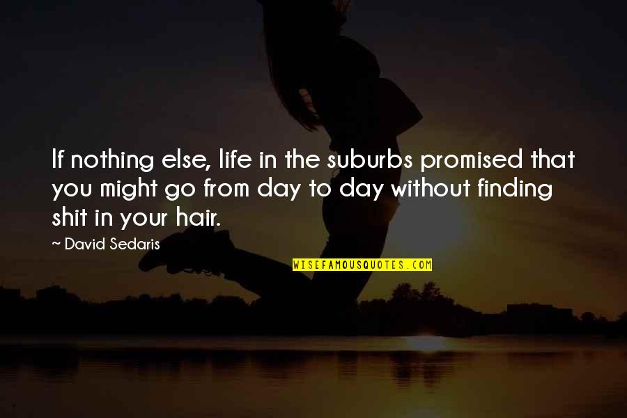 Nothing Is Promised Quotes By David Sedaris: If nothing else, life in the suburbs promised