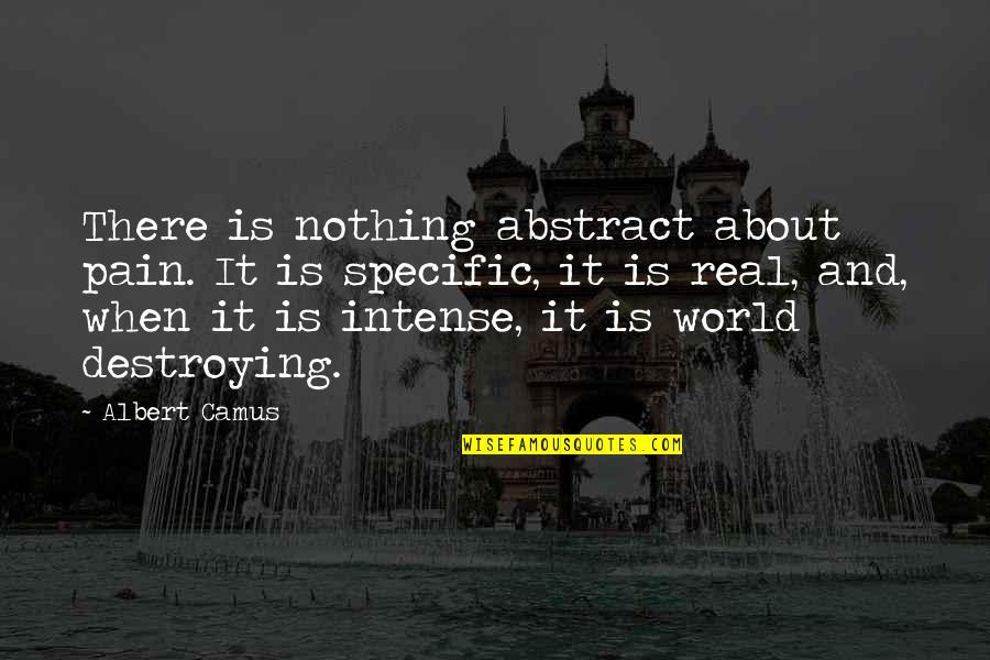 Nothing Is Real In This World Quotes By Albert Camus: There is nothing abstract about pain. It is