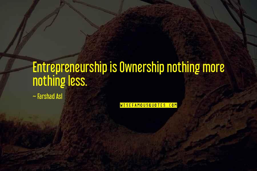 Nothing More Nothing Less Quotes By Farshad Asl: Entrepreneurship is Ownership nothing more nothing less.