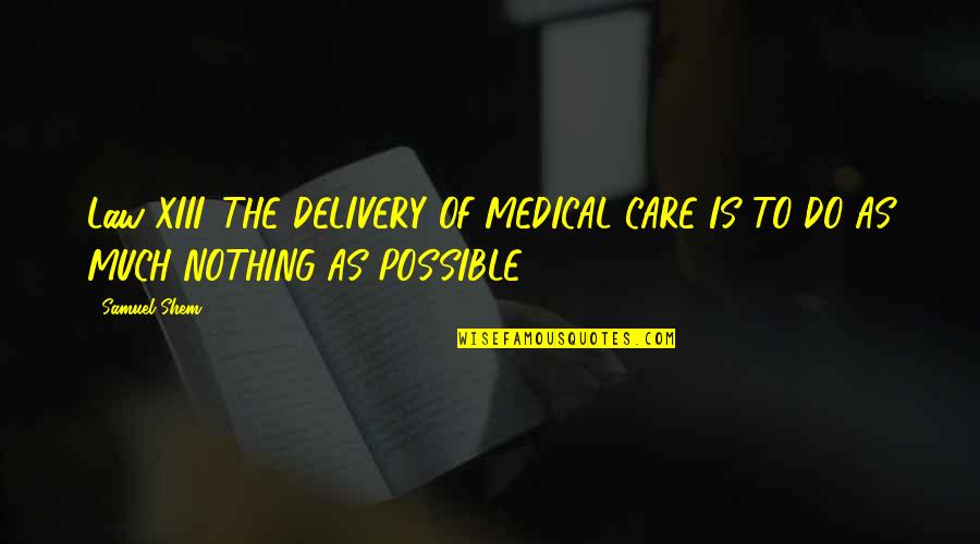 Nothing Possible Quotes By Samuel Shem: Law XIII. THE DELIVERY OF MEDICAL CARE IS