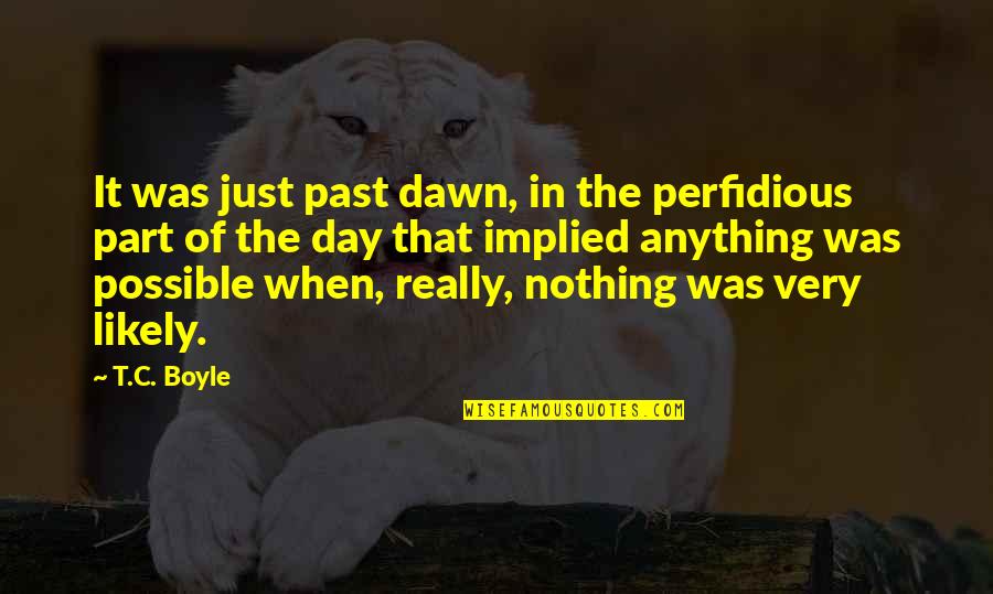 Nothing Possible Quotes By T.C. Boyle: It was just past dawn, in the perfidious