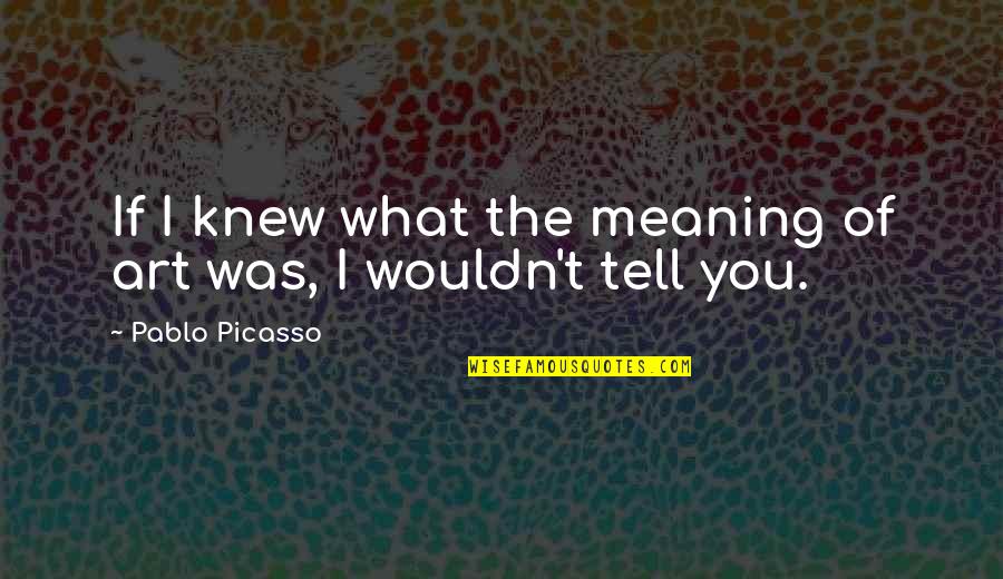 Nothing Will Last Forever Quotes By Pablo Picasso: If I knew what the meaning of art