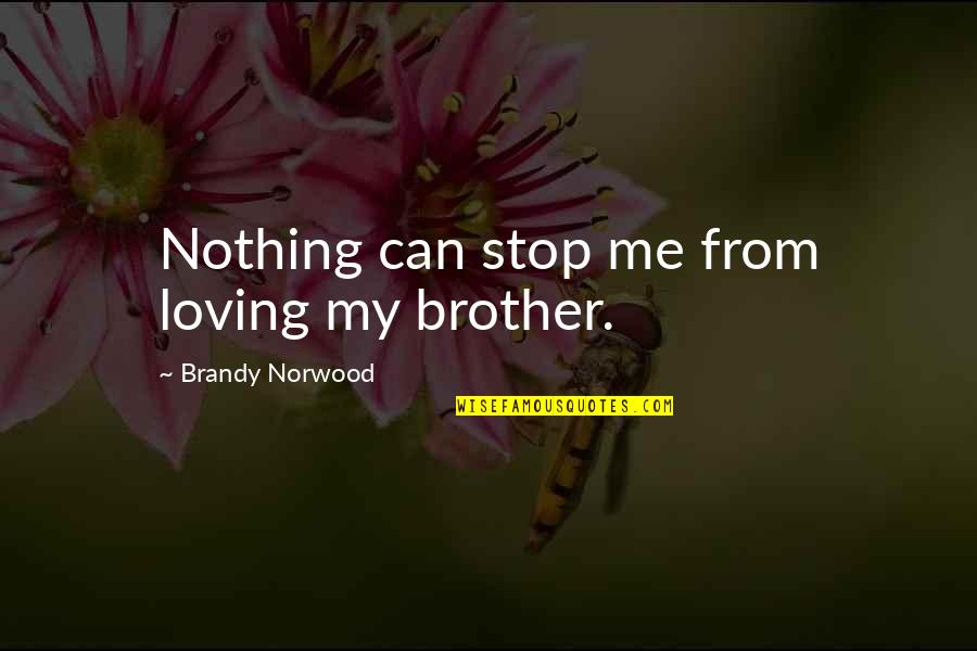 Nothingman Pearl Quotes By Brandy Norwood: Nothing can stop me from loving my brother. Nothingman Pearl Quotes By Brandy Norwood: Nothing can stop me from loving my brother.