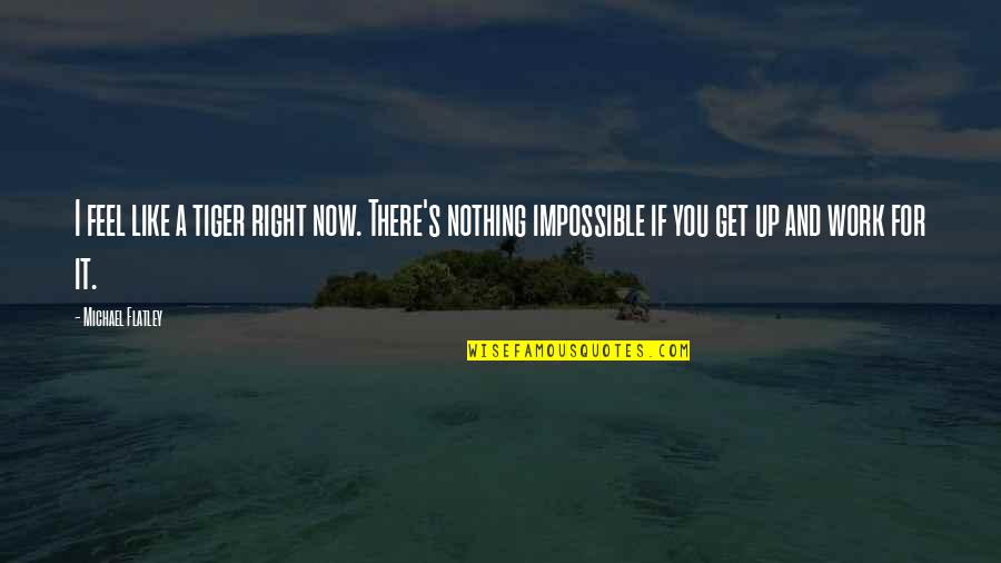 Nothing's Impossible Quotes By Michael Flatley: I feel like a tiger right now. There's