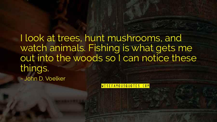 Notice Things Quotes By John D. Voelker: I look at trees, hunt mushrooms, and watch