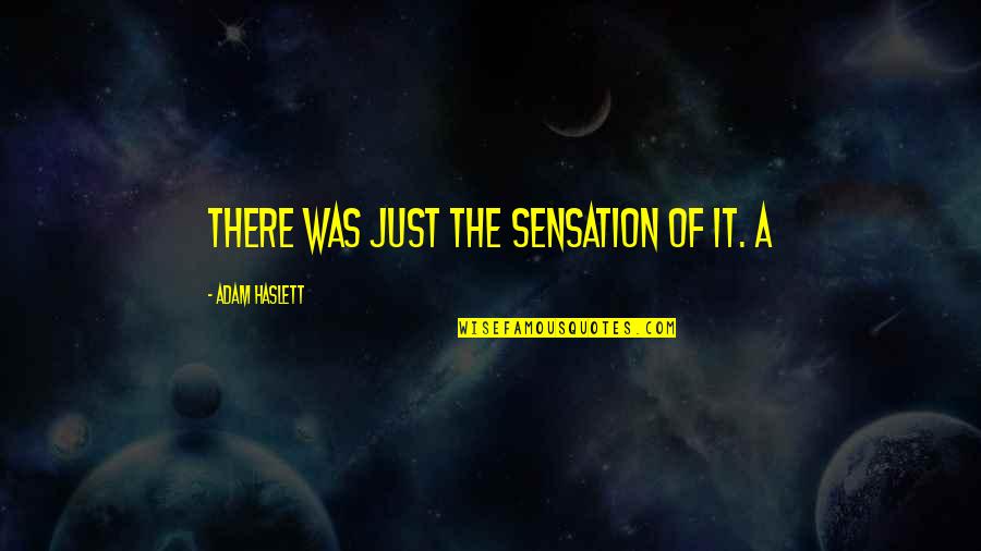 Noticing Me Quotes By Adam Haslett: There was just the sensation of it. A