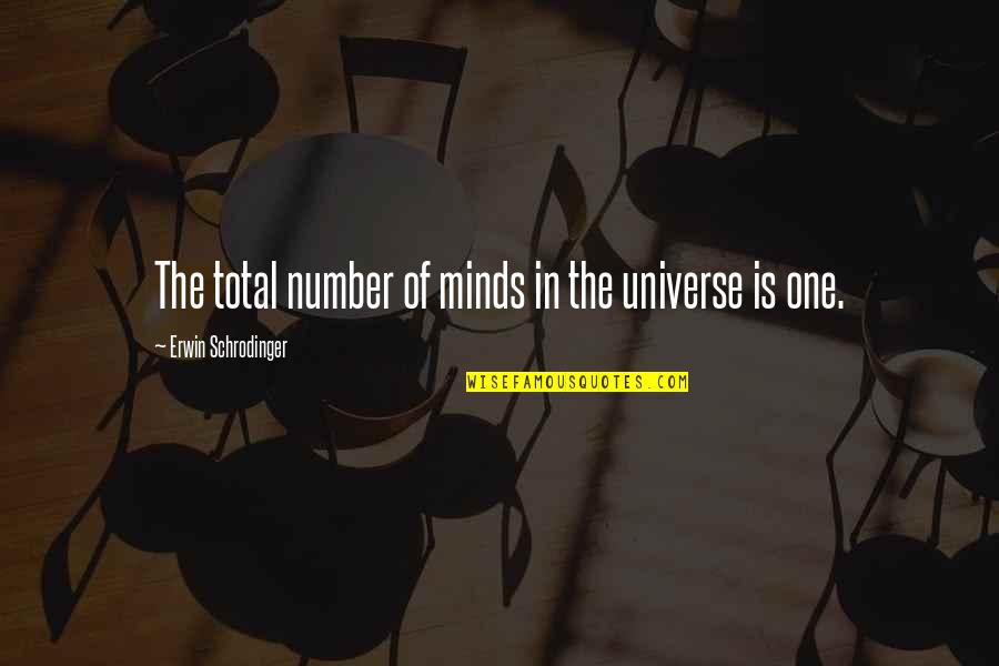 Noticing The Beauty In Life Quotes By Erwin Schrodinger: The total number of minds in the universe