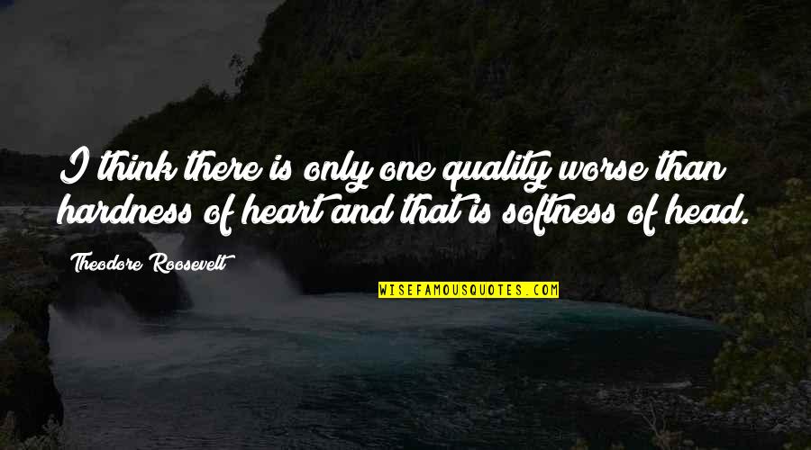 Nouer Germany Quotes By Theodore Roosevelt: I think there is only one quality worse