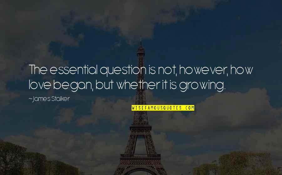 Nouman Ali Khan Bangla Quotes By James Stalker: The essential question is not, however, how love