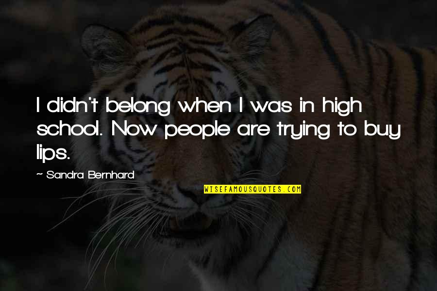 Noumenal Synonyms Quotes By Sandra Bernhard: I didn't belong when I was in high