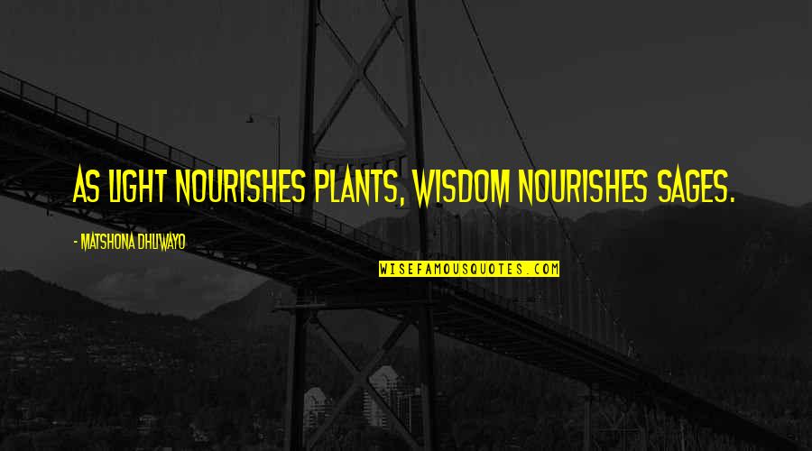 Nourishes Quotes By Matshona Dhliwayo: As light nourishes plants, wisdom nourishes sages.