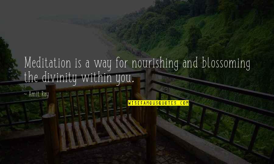 Nourishment For The Soul Quotes By Amit Ray: Meditation is a way for nourishing and blossoming