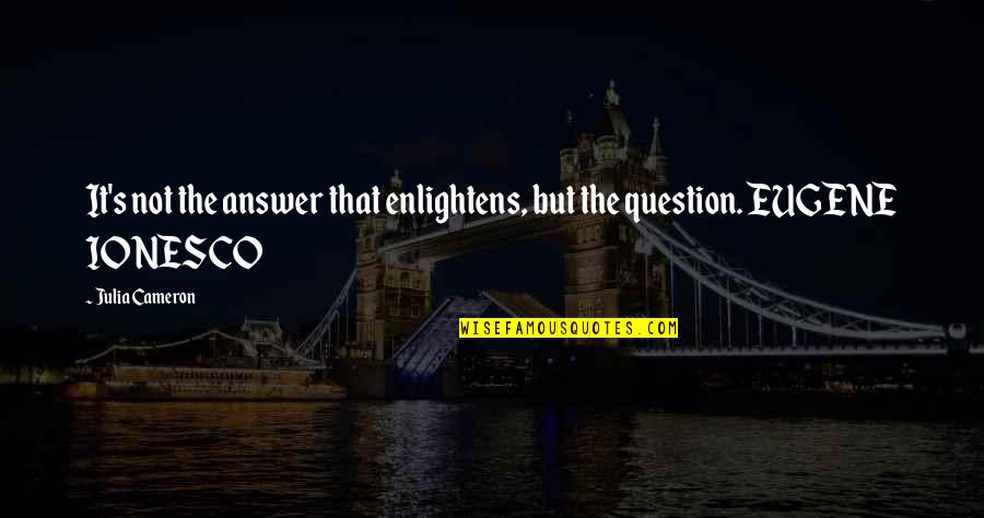 Noussair Mazraoui Quotes By Julia Cameron: It's not the answer that enlightens, but the