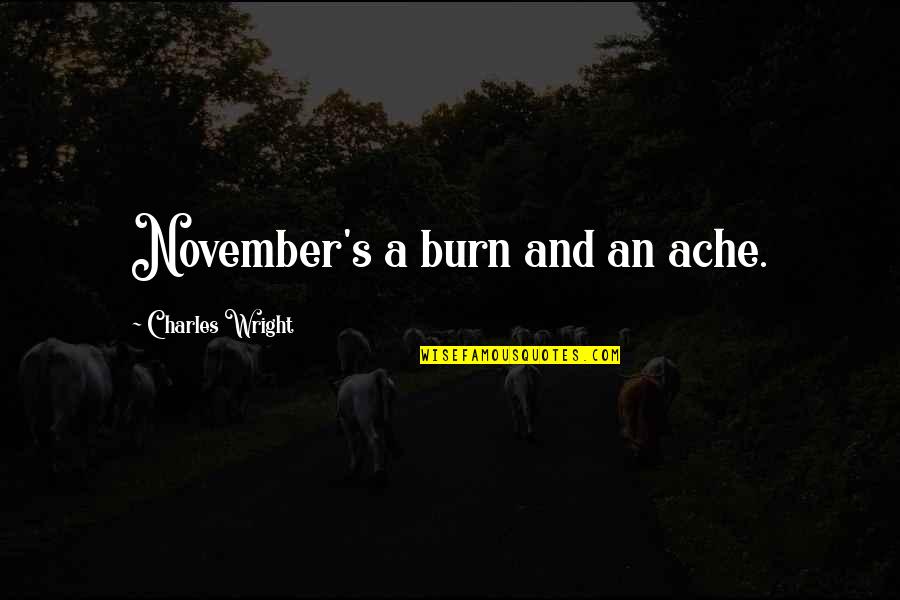 Novaerus Quotes By Charles Wright: November's a burn and an ache. Novaerus Quotes By Charles Wright: November's a burn and an ache.