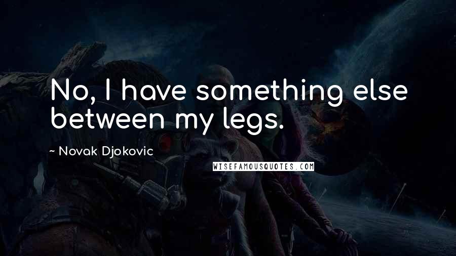 Novak Djokovic quotes: No, I have something else between my legs.