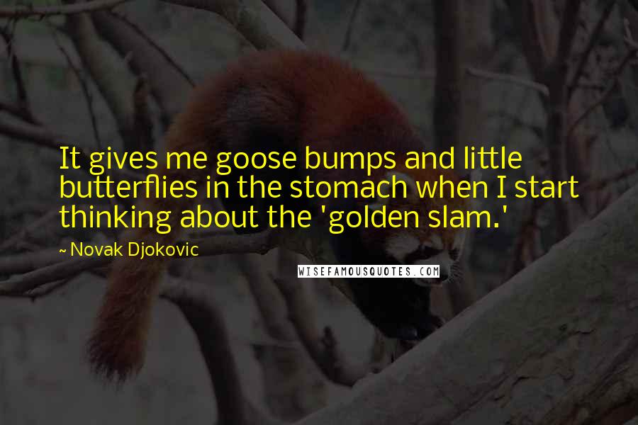 Novak Djokovic quotes: It gives me goose bumps and little butterflies in the stomach when I start thinking about the 'golden slam.' Novak Djokovic quotes: It gives me goose bumps and little butterflies in the stomach when I start thinking about the 'golden slam.'