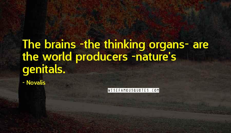Novalis quotes: The brains -the thinking organs- are the world producers -nature's genitals.