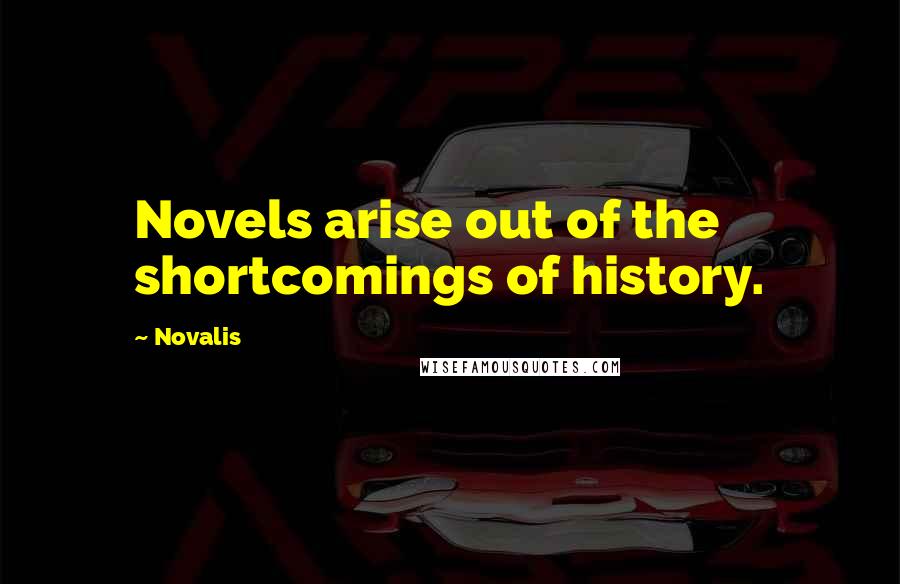 Novalis quotes: Novels arise out of the shortcomings of history.