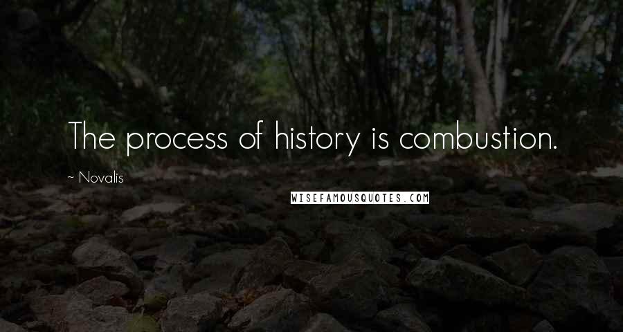 Novalis quotes: The process of history is combustion.