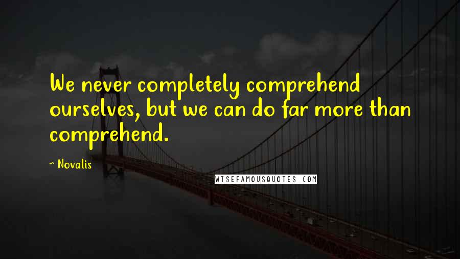 Novalis quotes: We never completely comprehend ourselves, but we can do far more than comprehend.