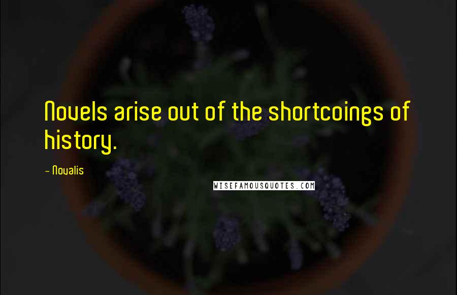 Novalis quotes: Novels arise out of the shortcoings of history.