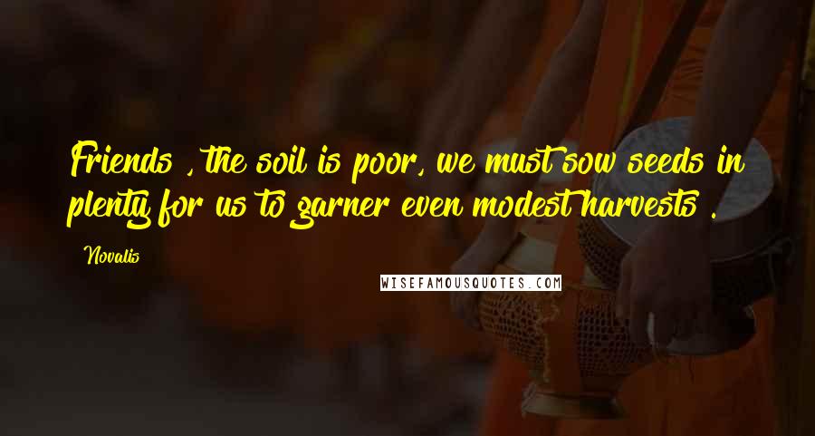 Novalis quotes: Friends , the soil is poor, we must sow seeds in plenty for us to garner even modest harvests .