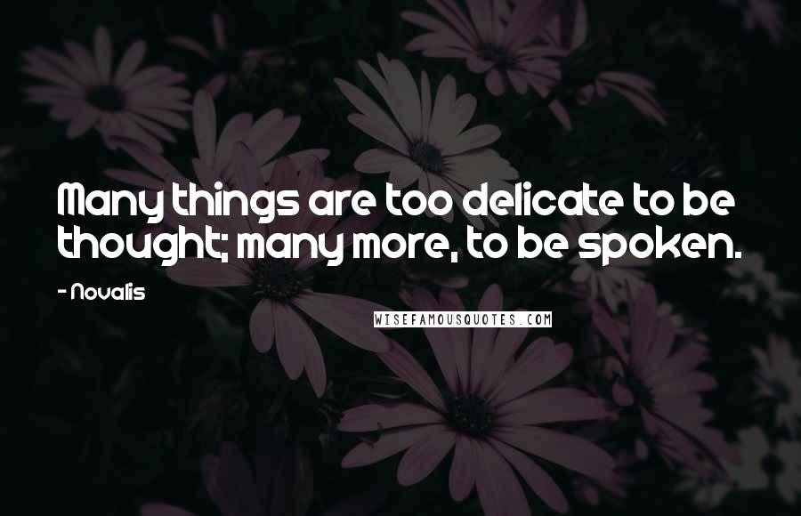 Novalis quotes: Many things are too delicate to be thought; many more, to be spoken.