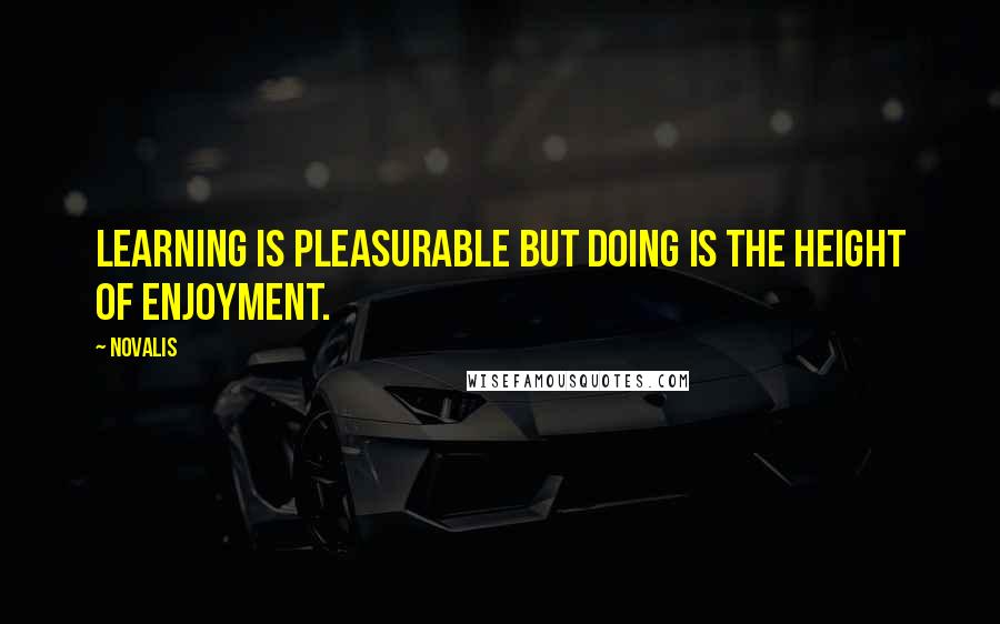 Novalis quotes: Learning is pleasurable but doing is the height of enjoyment.