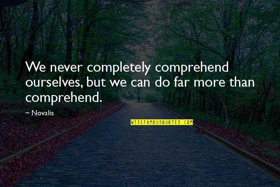 Novalis Quotes By Novalis: We never completely comprehend ourselves, but we can