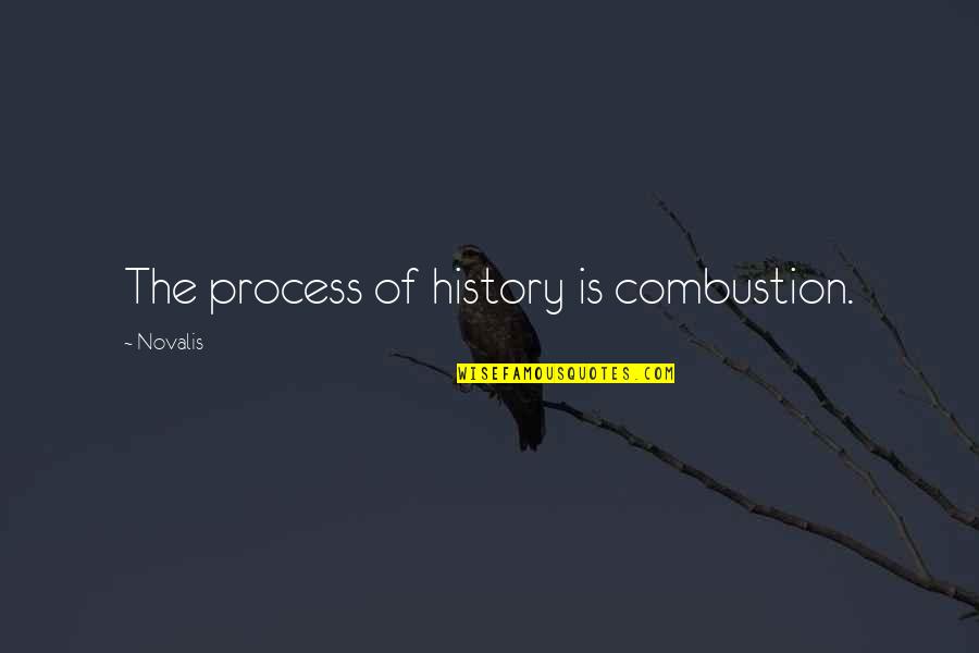 Novalis's Quotes By Novalis: The process of history is combustion.