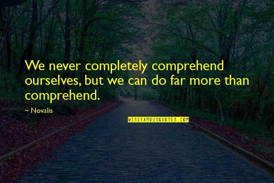 Novalis's Quotes By Novalis: We never completely comprehend ourselves, but we can