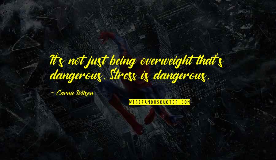 Novation Quotes By Carnie Wilson: It's not just being overweight that's dangerous. Stress