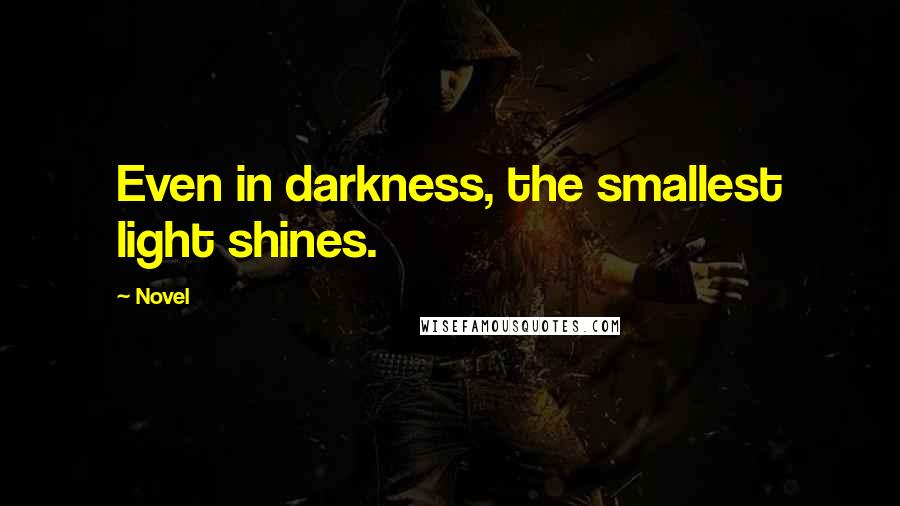 Novel quotes: Even in darkness, the smallest light shines.