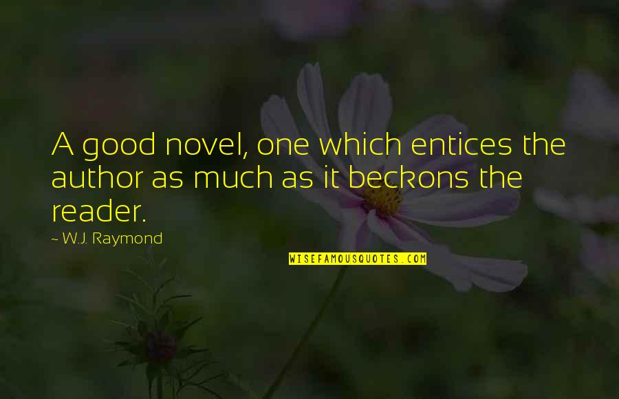 Novel Reader Quotes By W.J. Raymond: A good novel, one which entices the author