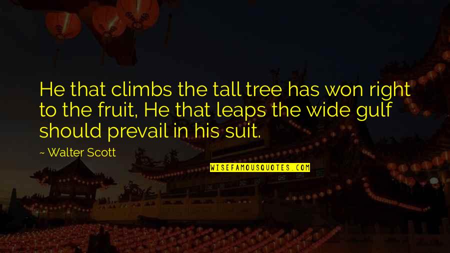 Novelist And Poet Quotes By Walter Scott: He that climbs the tall tree has won