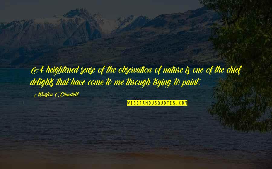 Novelogue Quotes By Winston Churchill: A heightened sense of the observation of nature