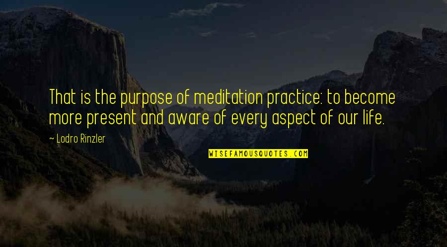 November 12th Quotes By Lodro Rinzler: That is the purpose of meditation practice: to