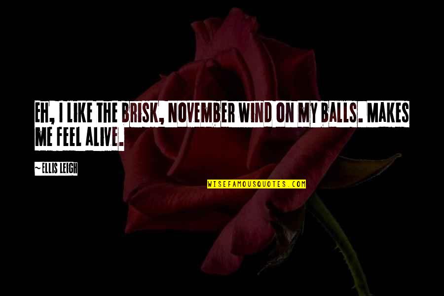 November Quotes By Ellis Leigh: Eh, I like the brisk, November wind on