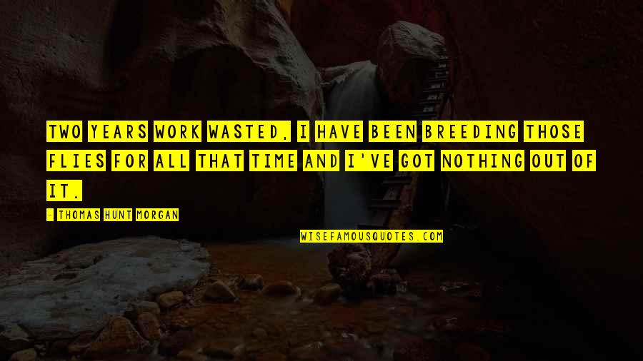 Noverre Musson Quotes By Thomas Hunt Morgan: Two years work wasted, I have been breeding Noverre Musson Quotes By Thomas Hunt Morgan: Two years work wasted, I have been breeding