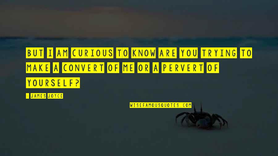 Novinho Translate Quotes By James Joyce: But I am curious to know are you