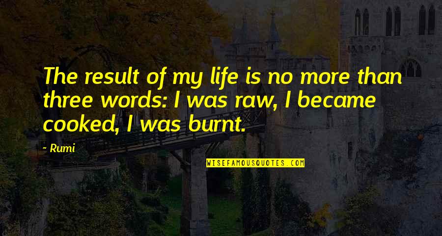 Novio Boy Quotes By Rumi: The result of my life is no more