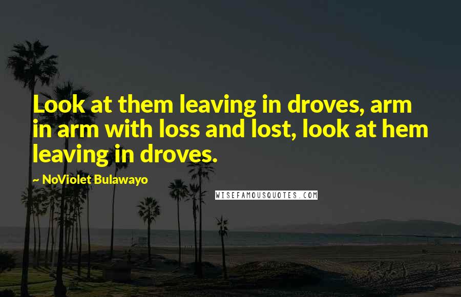 NoViolet Bulawayo quotes: Look at them leaving in droves, arm in arm with loss and lost, look at hem leaving in droves.