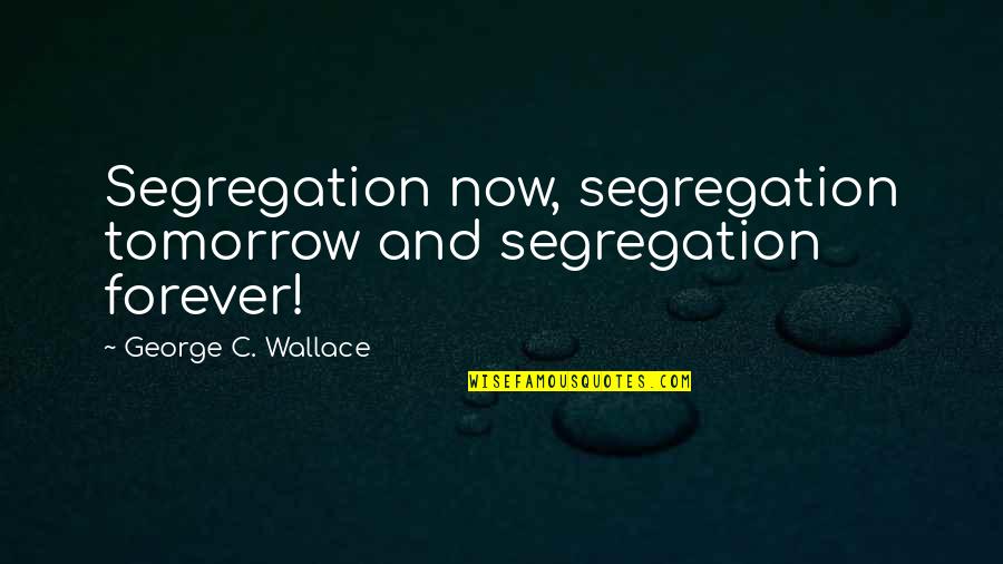 Now And Forever Quotes By George C. Wallace: Segregation now, segregation tomorrow and segregation forever!