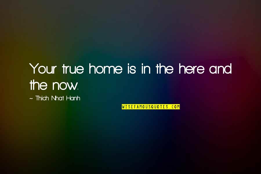 Now And Here Quotes By Thich Nhat Hanh: Your true home is in the here and