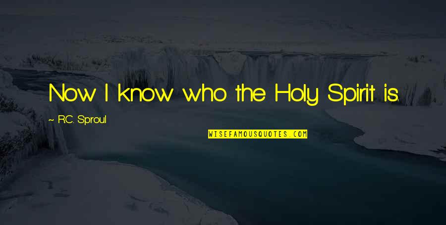 Now I Know Quotes By R.C. Sproul: Now I know who the Holy Spirit is.