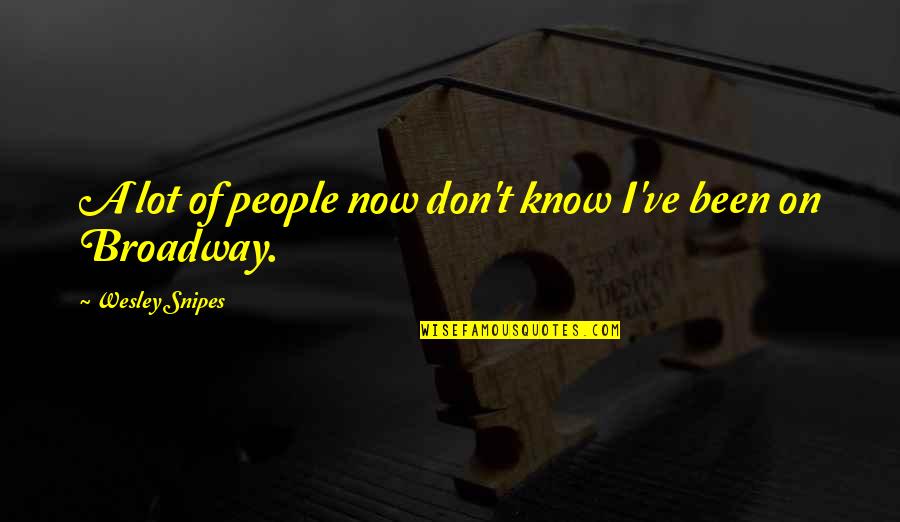 Now I Know Quotes By Wesley Snipes: A lot of people now don't know I've
