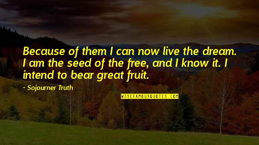Now I Know The Truth Quotes By Sojourner Truth: Because of them I can now live the Now I Know The Truth Quotes By Sojourner Truth: Because of them I can now live the
