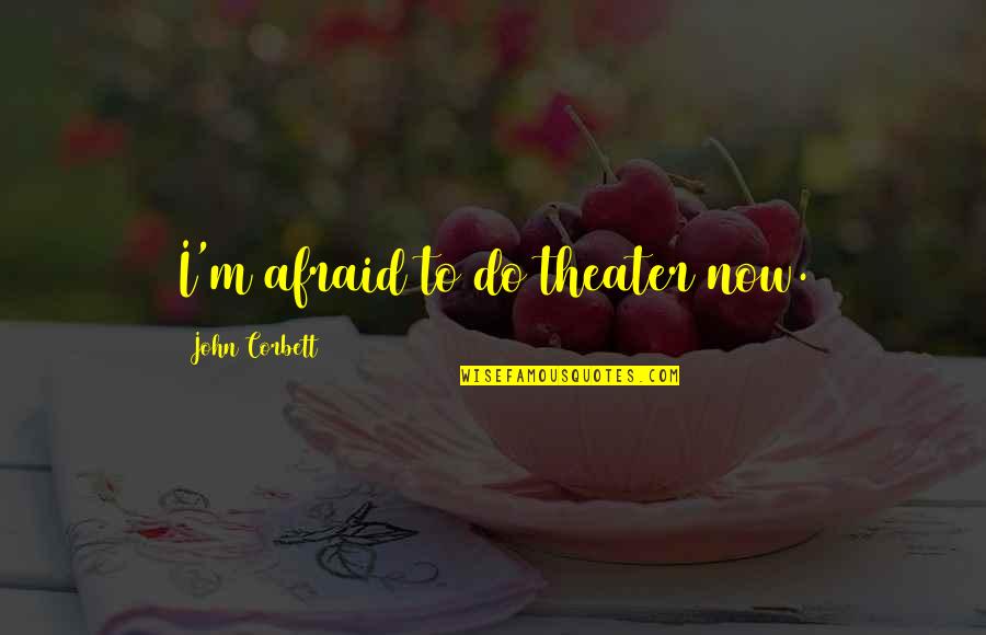 Now I Quotes By John Corbett: I'm afraid to do theater now.