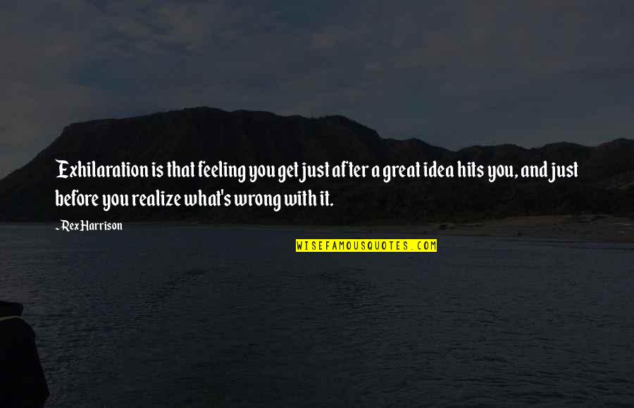 Now I Realize That I Was Wrong Quotes By Rex Harrison: Exhilaration is that feeling you get just after