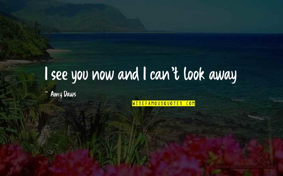 Now I See You Quotes By Amy Daws: I see you now and I can't look
